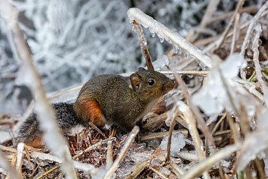 整蛊搞怪正当时！《命运2》英灵日活动饰品介绍